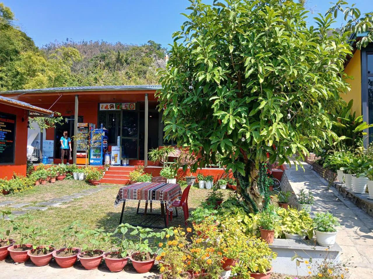 Catba Papillon Garden Bungalows & Resort Hien Hao Exteriör bild