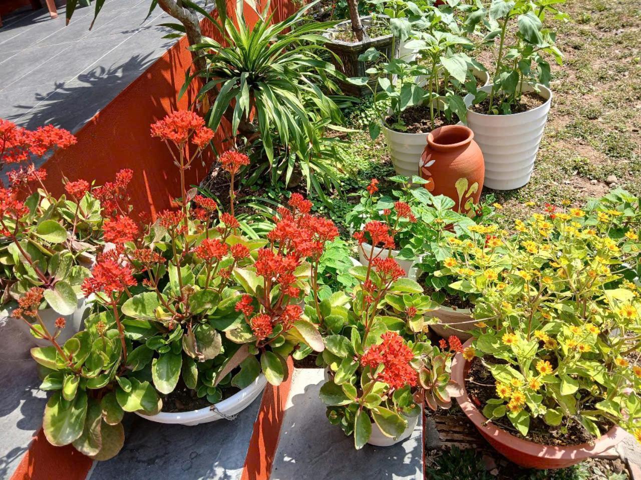 Catba Papillon Garden Bungalows & Resort Hien Hao Exteriör bild