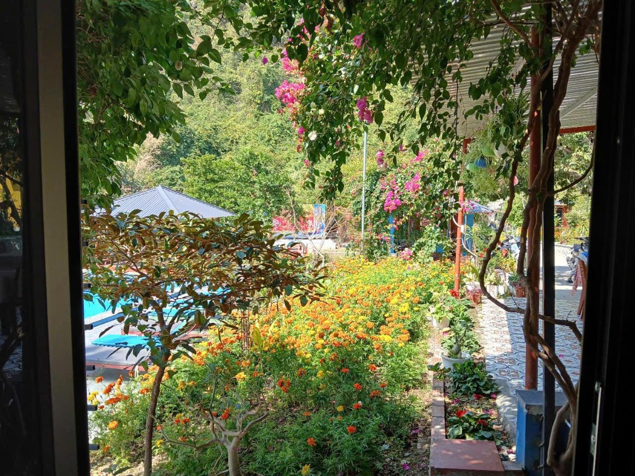Catba Papillon Garden Bungalows & Resort Hien Hao Exteriör bild