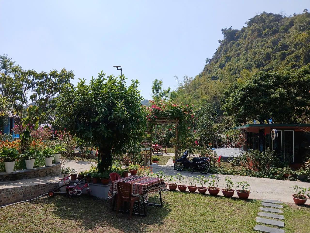 Catba Papillon Garden Bungalows & Resort Hien Hao Exteriör bild